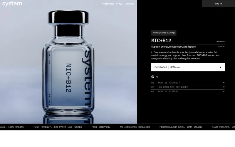 System Labs website screenshot